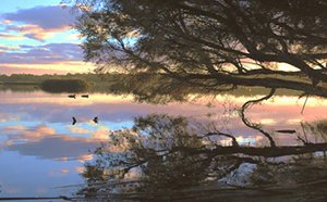 Lake Joondalup Reconciliation Walk 