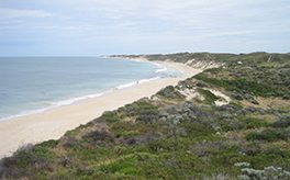 Two Rocks Coast