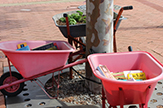 Barrows of books image