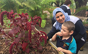 Burbridge school sensory garden