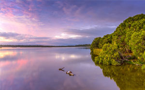 wetlands