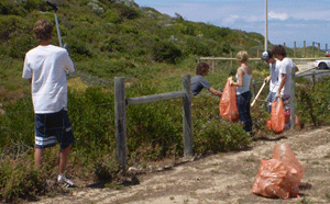 People clearing litter from bushland