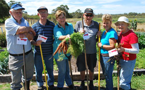 Cockman house veggie growers