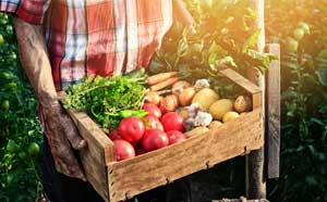 Man holding box of vegetables