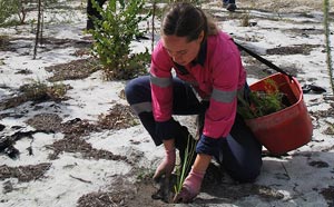 Woman planting trees