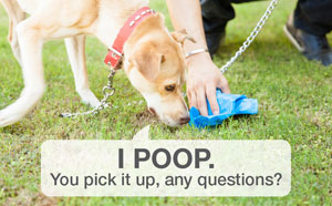 Dog waste