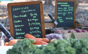 Fresh market produce