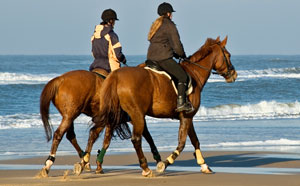 Horses on beach