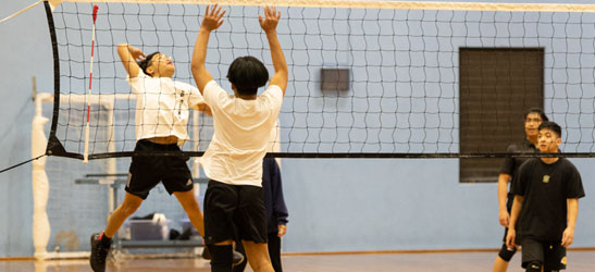 Volleyball players