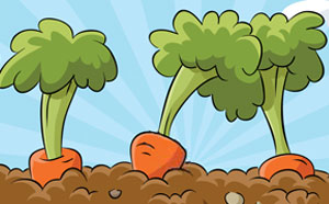 Organic gardening workshop