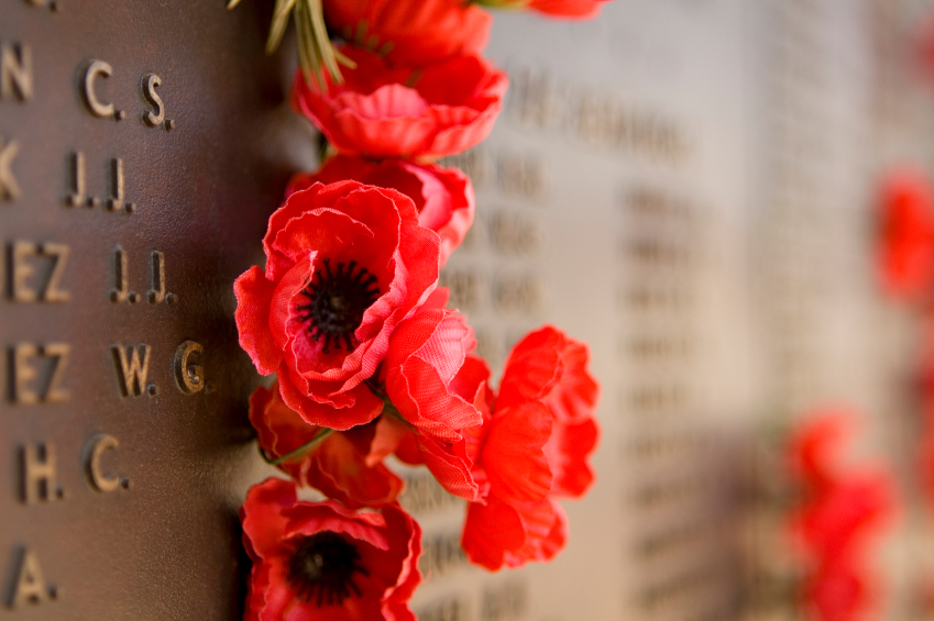 5000 Poppies