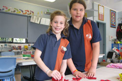 Hocking school poppies