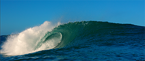 Photo of a crashing wave