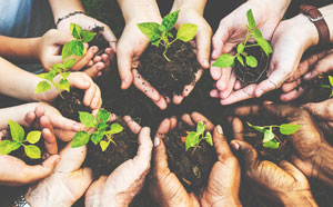 Hands holding plants