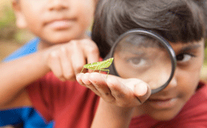 Child looking at insect through magnifying glass