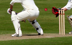 Playing cricket