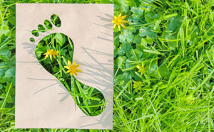 Image of footprint on grass
