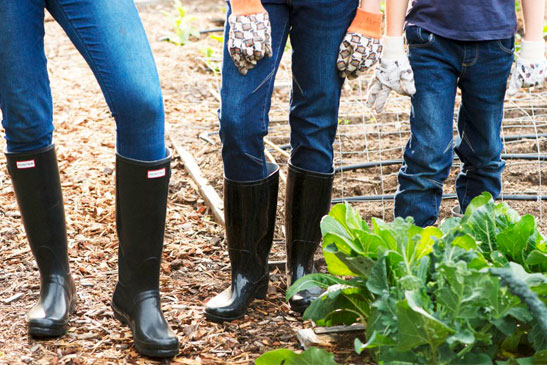 People gardening