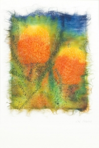 Banksias in Silk, Lyn Frankie. Acquired in 2003, Silk paper, dye and stitch