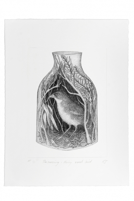 Preserving Noisy Scrub Bird 2 of 9. Kati Thamo. Acquired 2019. Etching