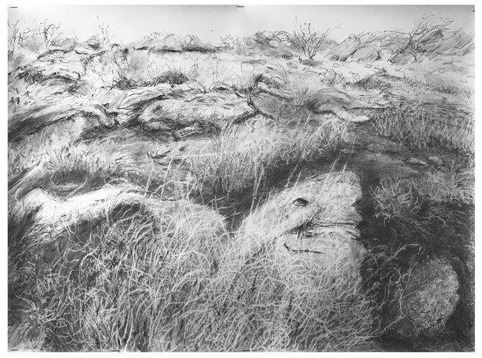 Linda Fardoe, 'Looking Up'
