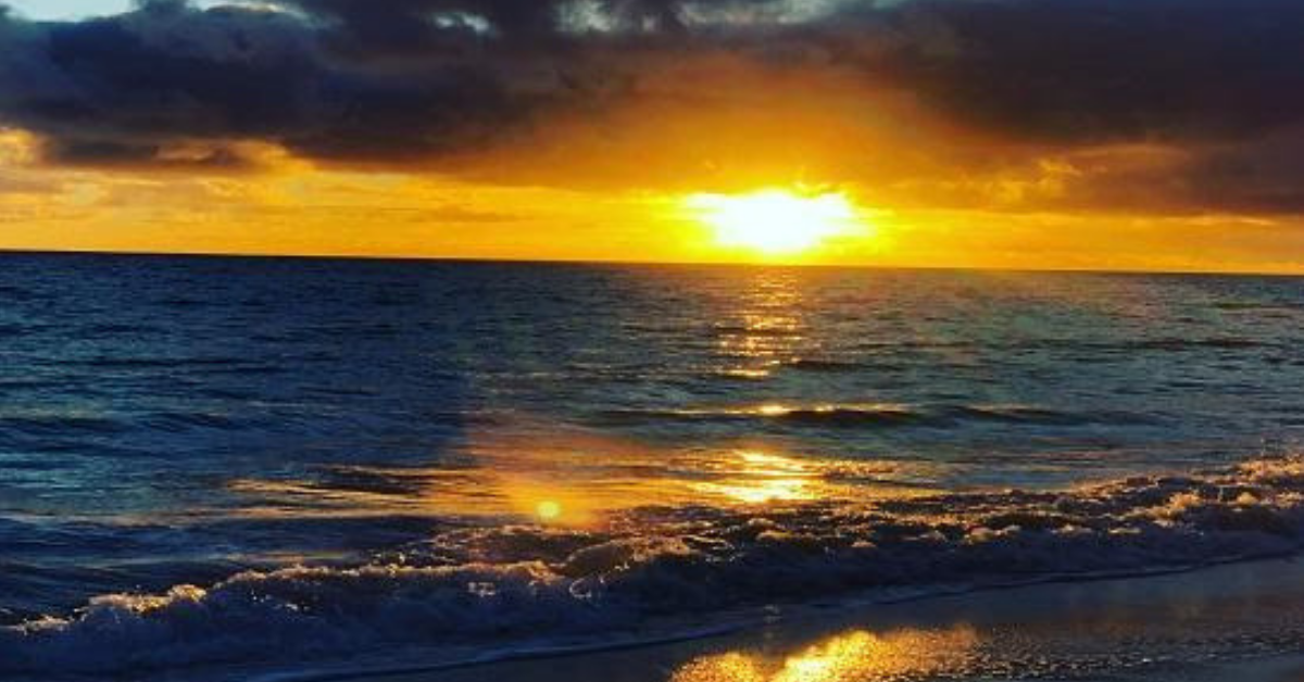 A photo of Yanchep Lagoon