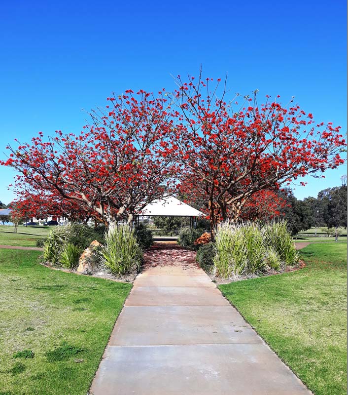 Martin van Doorn - Riverlinks Park, Clarkson