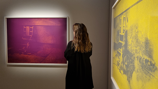 Person viewing exhibition