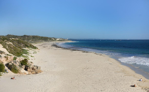 Beach coastal management