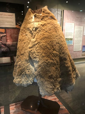 Buka; Kangaroo Skin Cloak