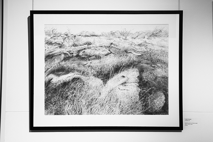 Artwork by Linda Fardoe
