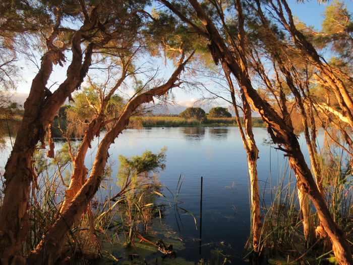 Lake Joondalup