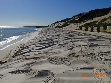 Quinns Beach