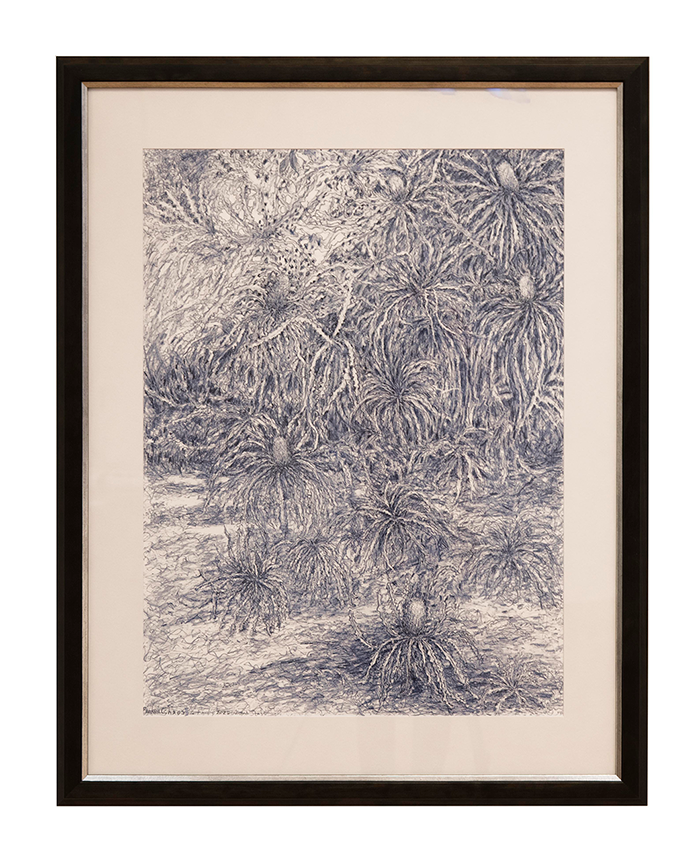 Banksia Chaos artwork