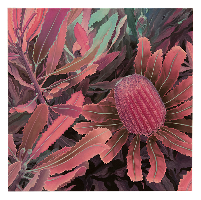 Radiant Banksia Menzies artwork