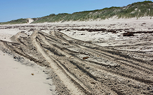 Eden beach 4wd tracks