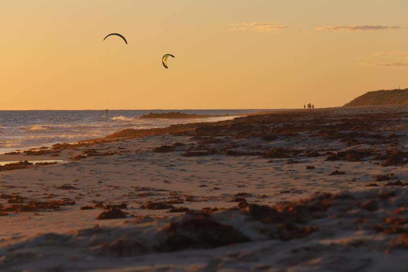 Luke Porcaro - Quinns Beach
