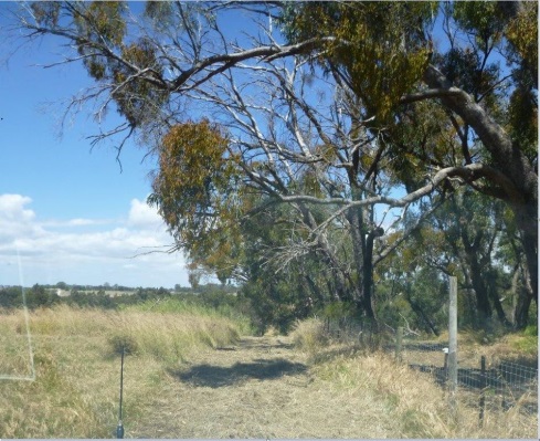 Non-compliant firebreak