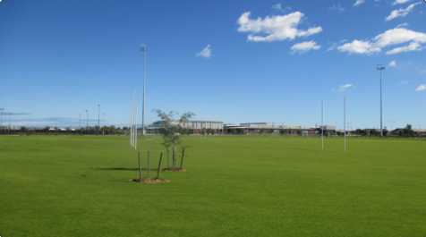 Northern Oval looking west towards Alkimos College across AFL oval, cricket pitch, Little Athletics track and sports infrastructure, and two rugby pitches