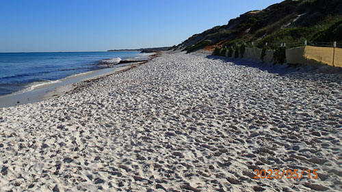 Beach showing sand renourishment