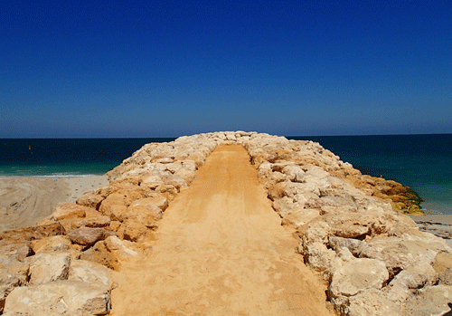 Quinns beach long term coastal managemen