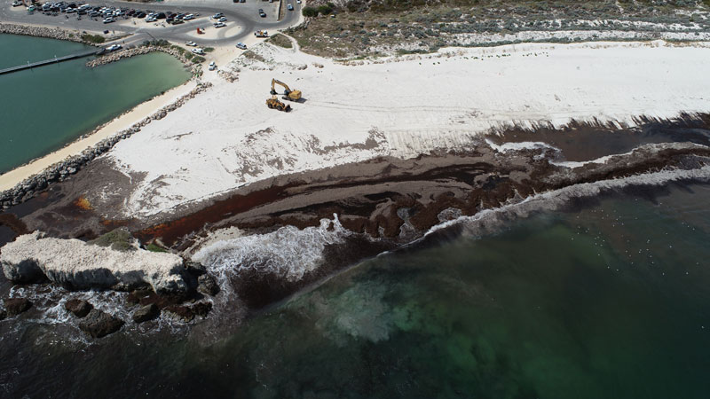 Aerial view of sea wrack at Two Rocks