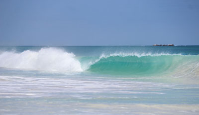 Blue Wave