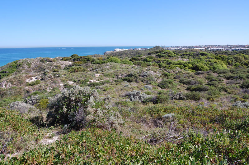 Stop6 image south mindarie