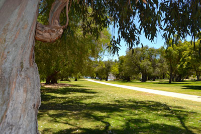 Yanchep Park Pathway