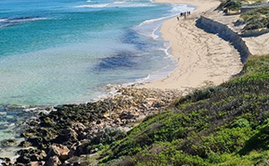 The City's coastline