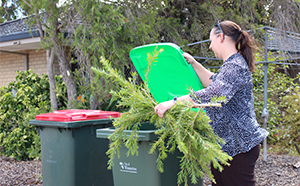 Three bin system