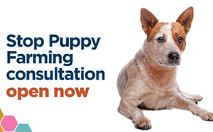 Stop Puppy Farming