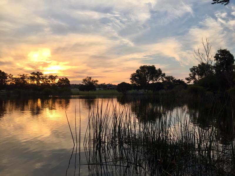 James Gellatly - Warradale Park, Lansdale