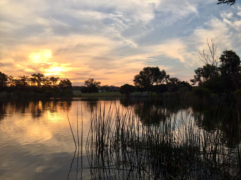 James Gellatly - Warradale Park, Lansdale
